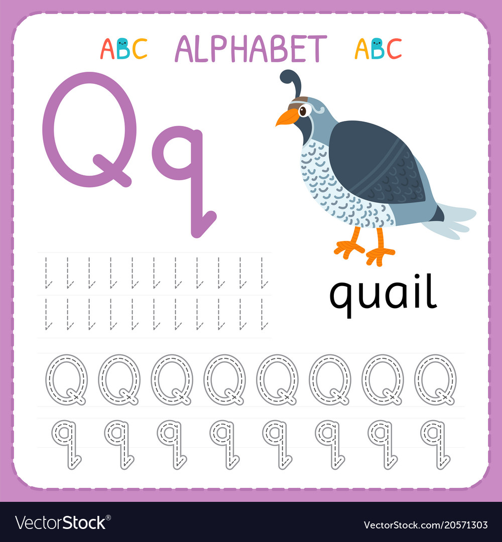 alphabet tracing worksheet for preschool vector image