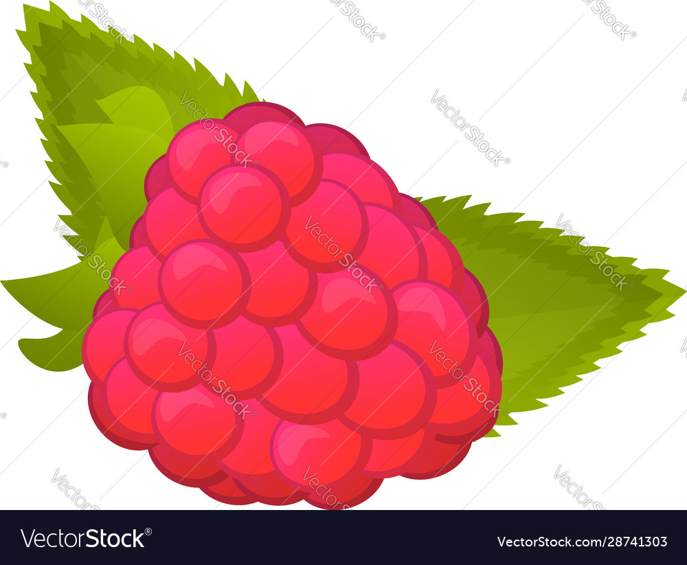 Fruit raspberry icon cartoon style Royalty Free Vector Image Fruit raspberry icon cartoon style Royalty Free Vector Image