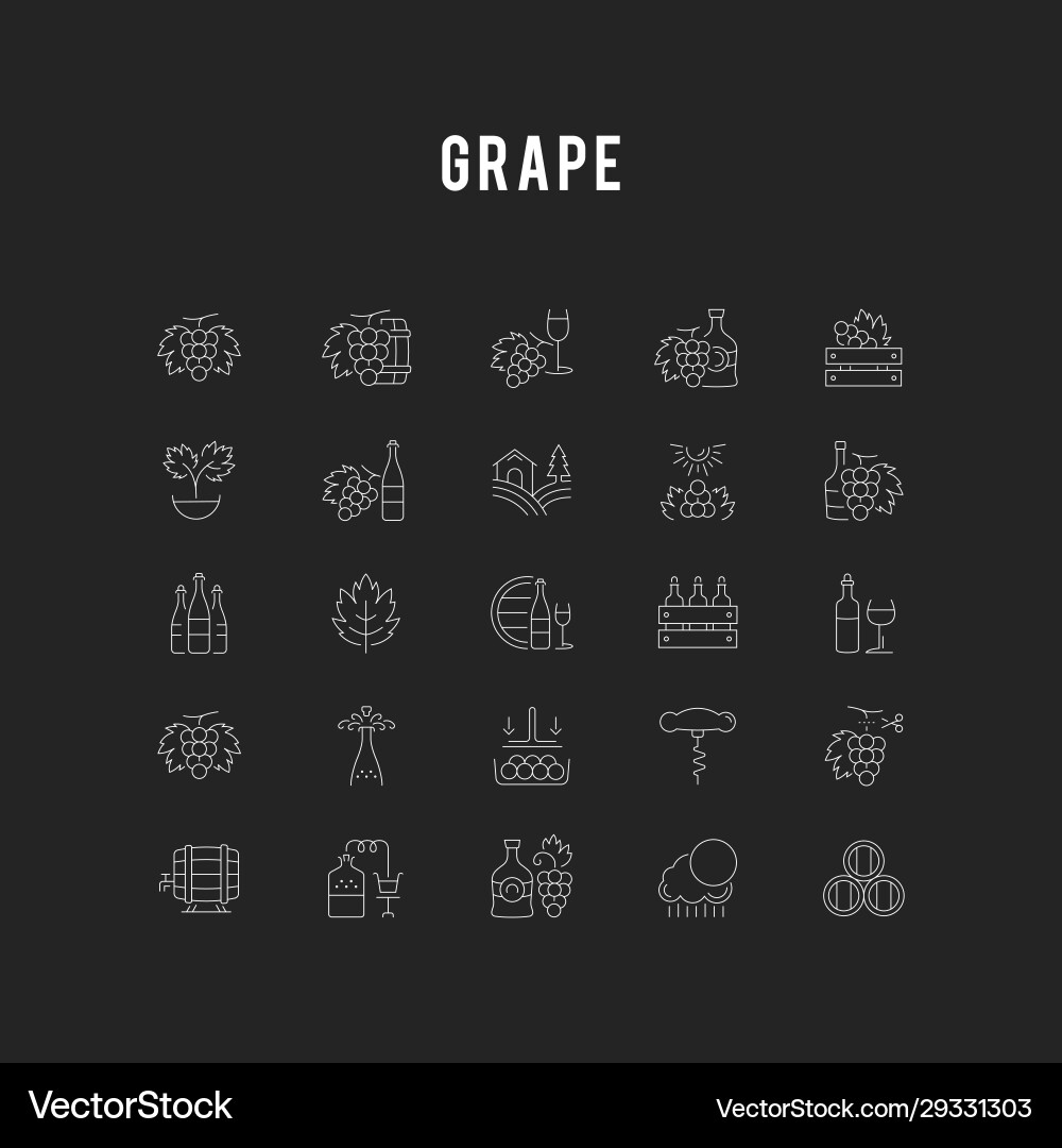 Set flat line icons grape Royalty Free Vector Image