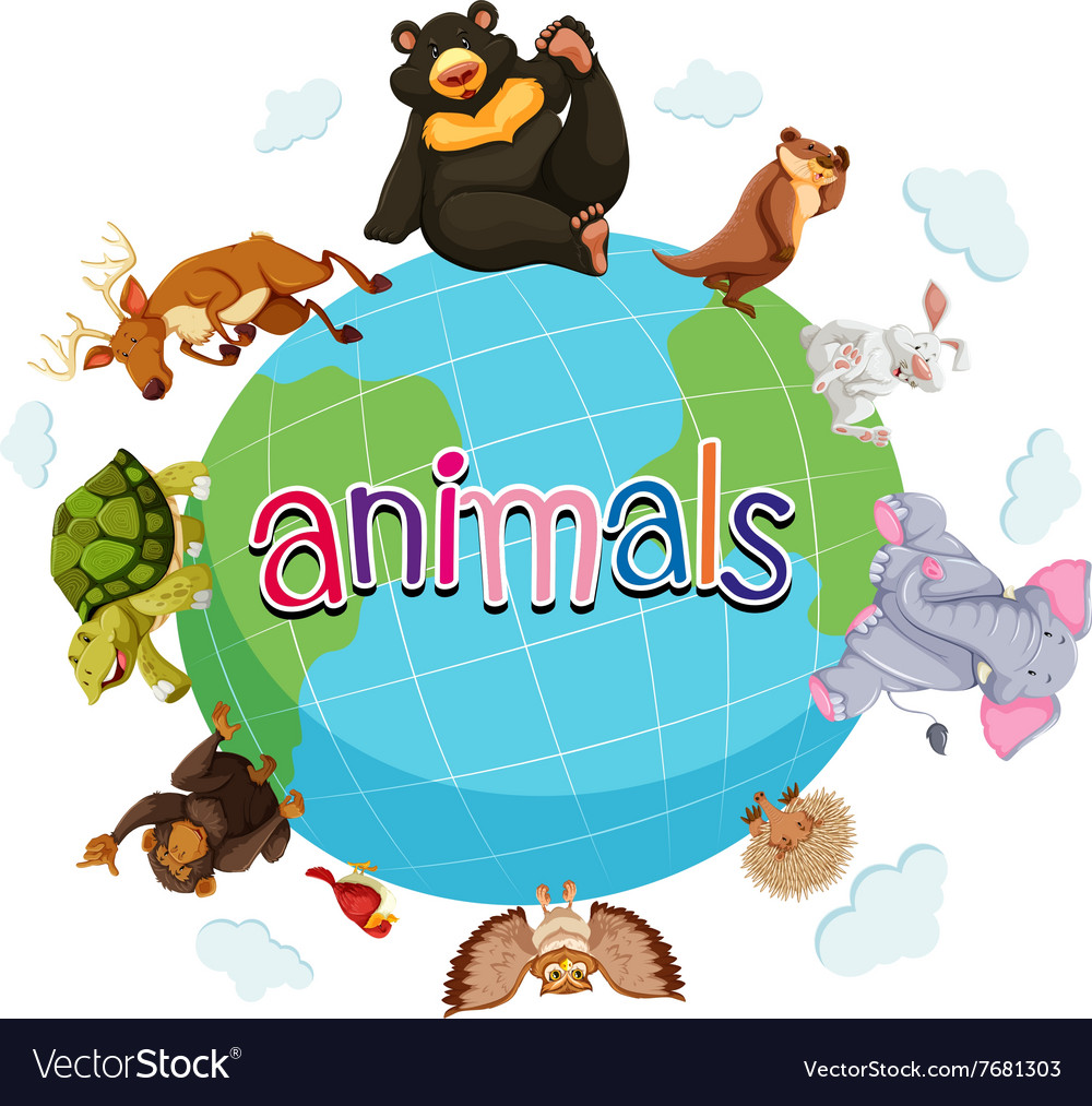 Wild animals around the world