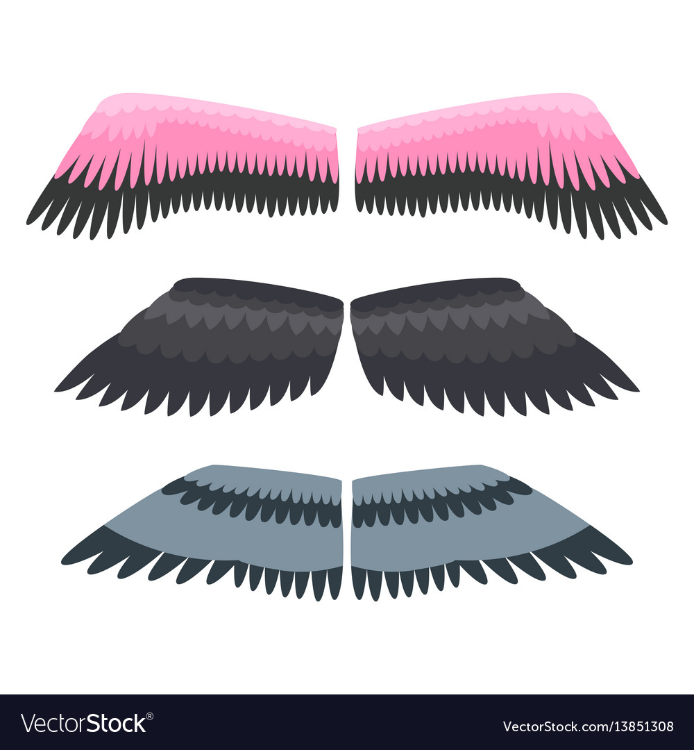 Wings isolated animal feather pinion bird freedom Vector Image