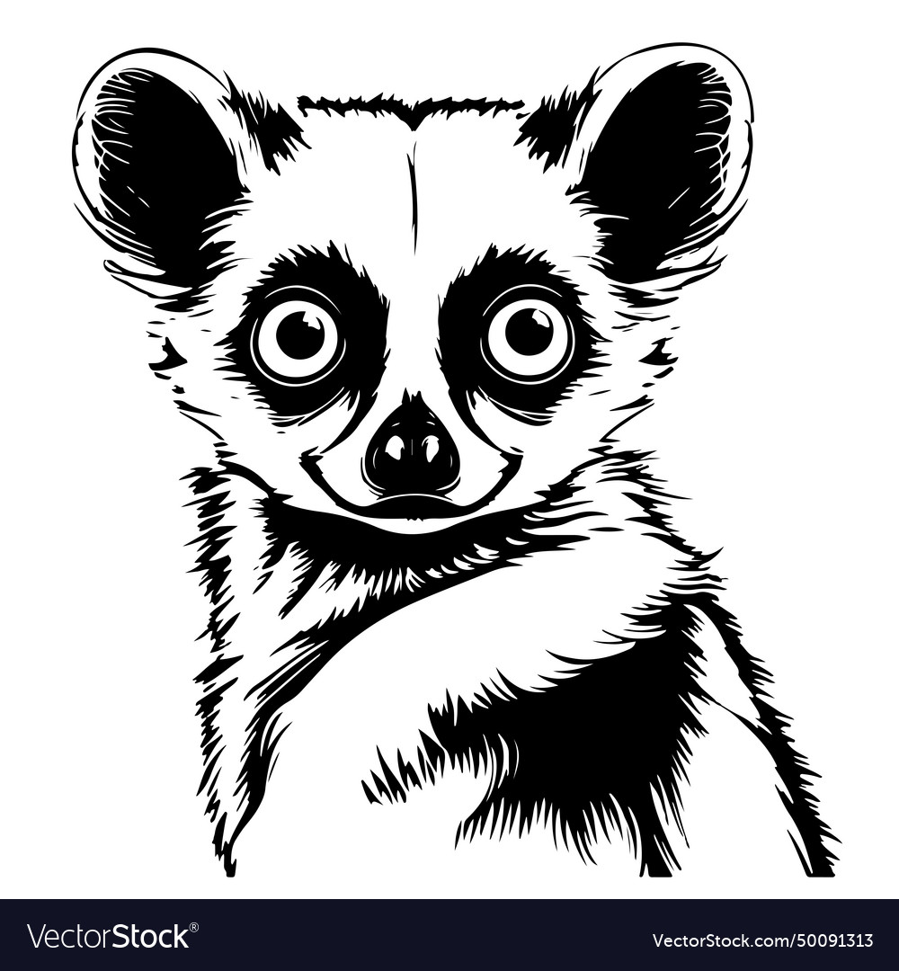 Smiling lemur head sketch hand drawn Royalty Free Vector