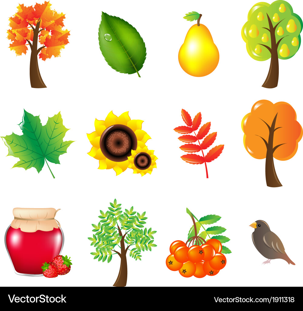 Autumn set Royalty Free Vector Image - VectorStock