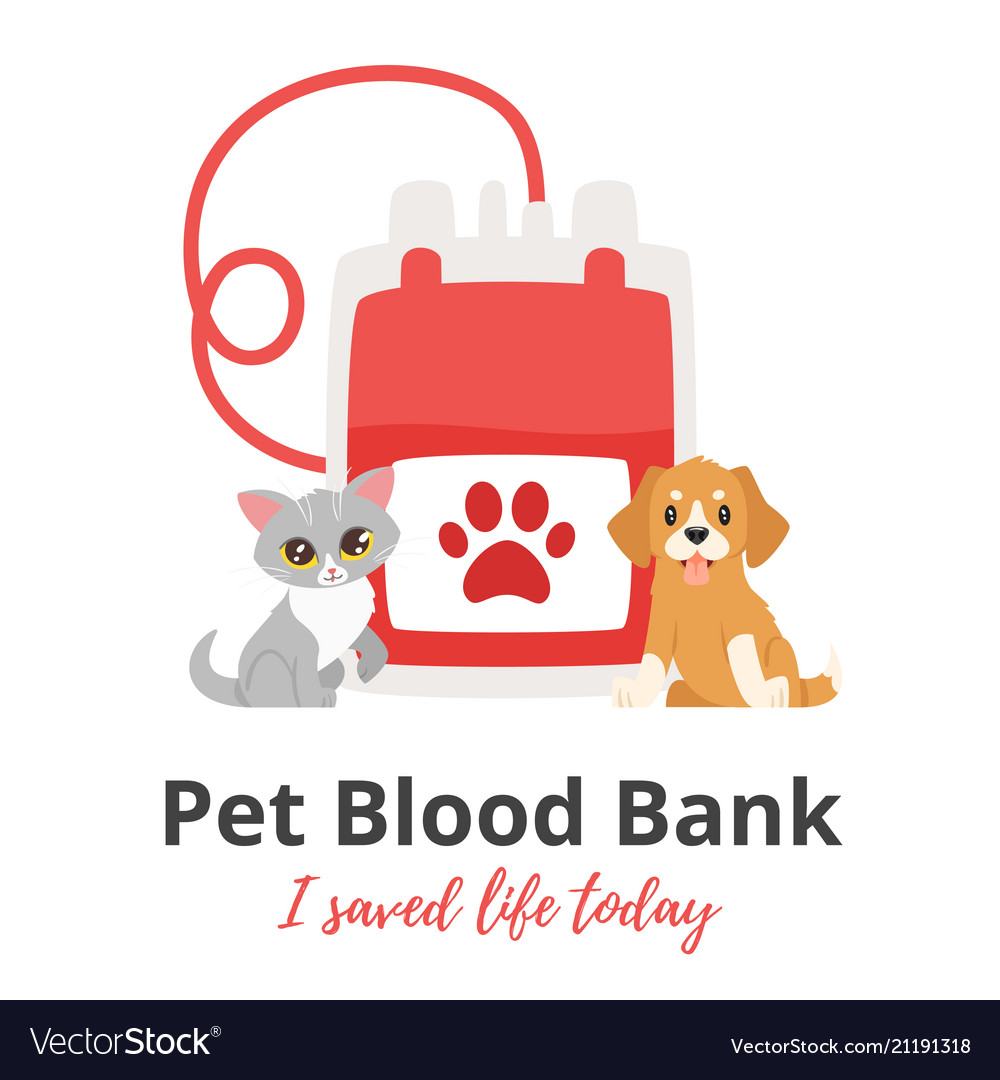 Pet Donor Concept Royalty Free Vector Image Vectorstock