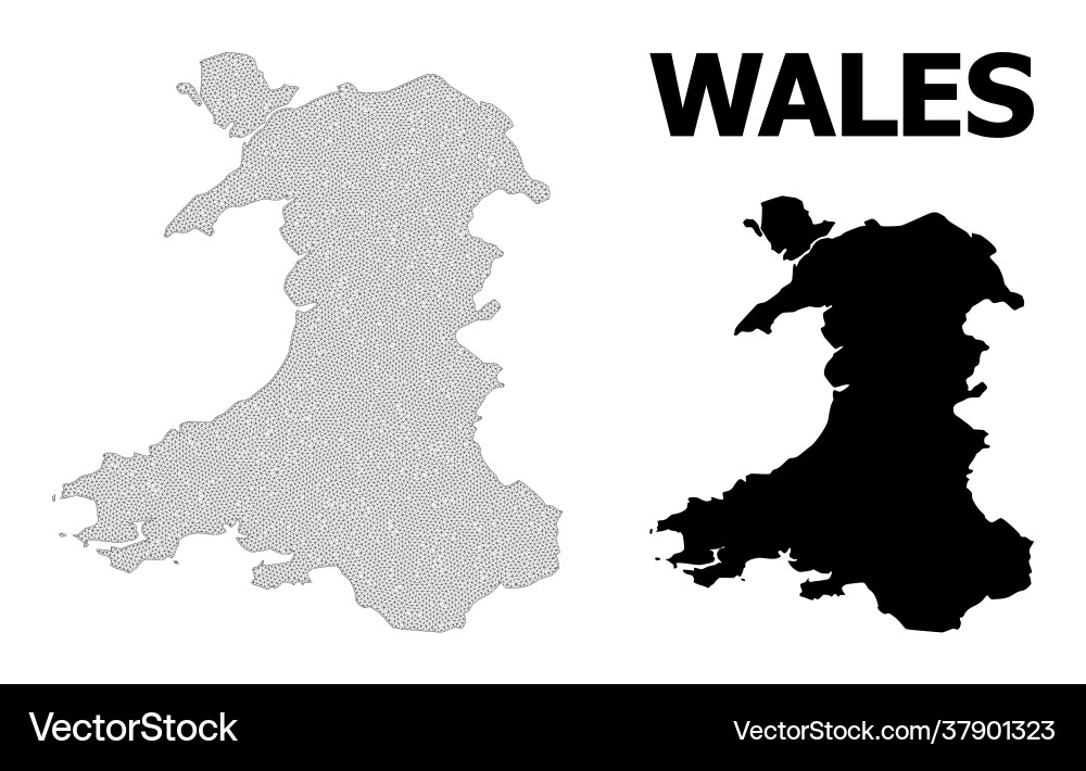 Polygonal network mesh high resolution map Vector Image