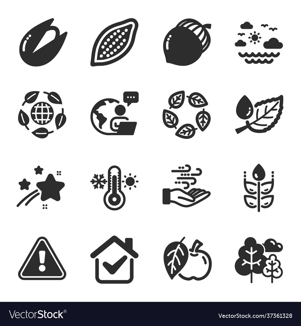 Set nature icons such as cocoa nut organic Vector Image