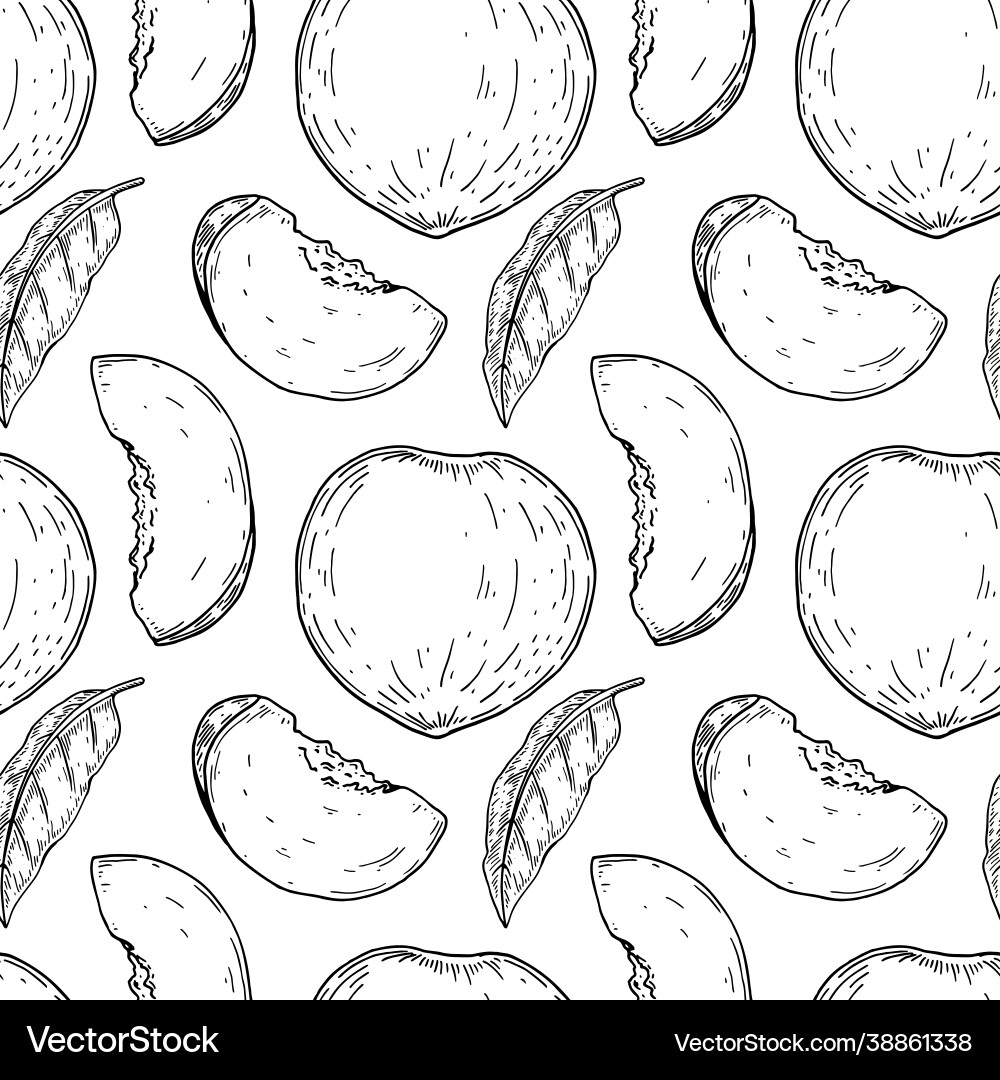 Hand drawn peach seamless pattern Royalty Free Vector Image