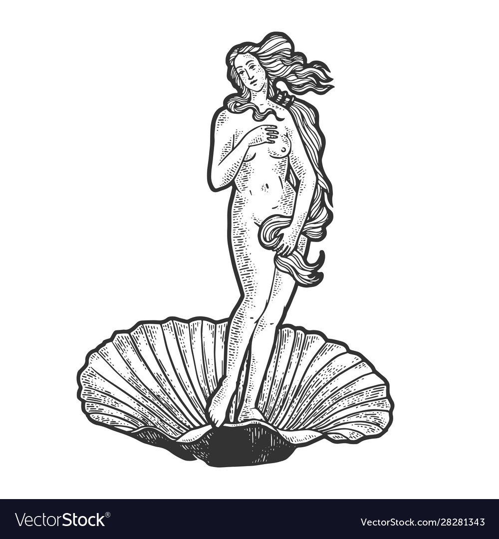 the birth of venus drawing easy