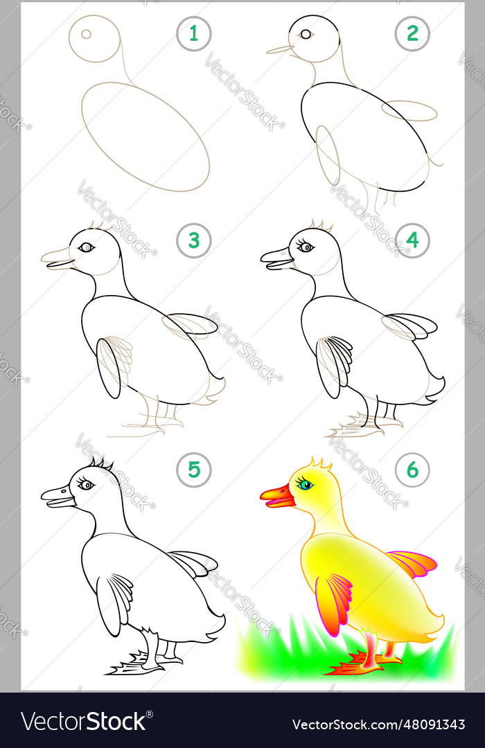 Page shows how to learn step by step to draw Vector Image