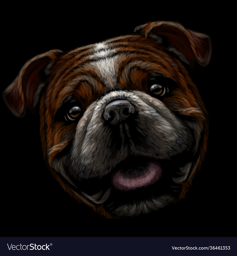 Bulldog color graphic portrait Royalty Free Vector Image