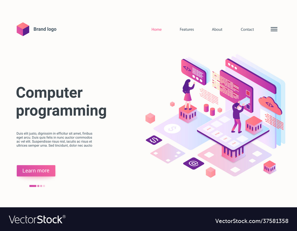 Computer programming landing page students learn Vector Image