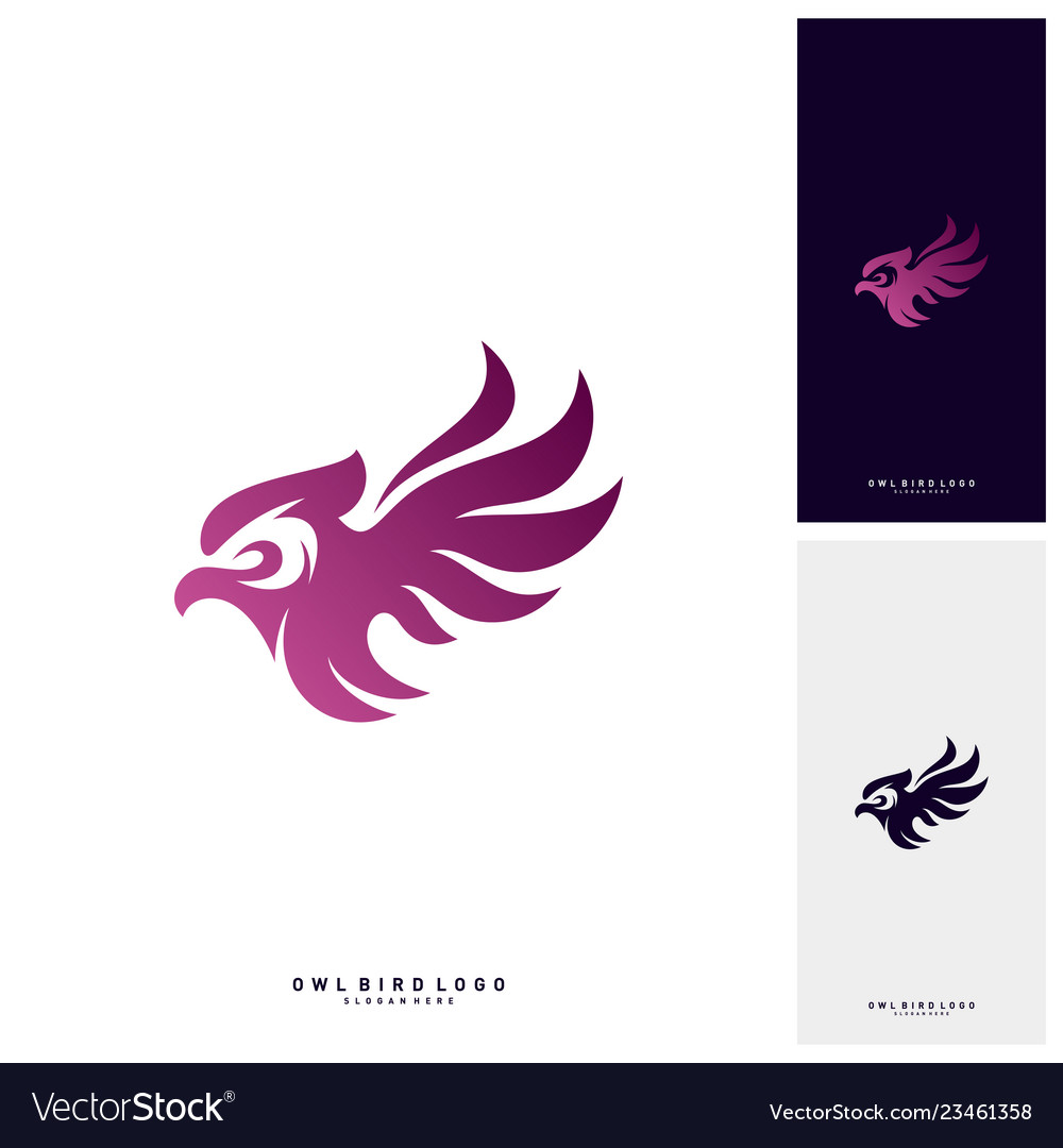 Owl logo design template bird concept Royalty Free Vector