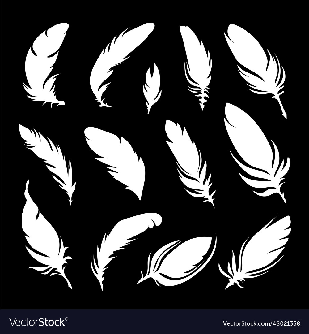 White Silhouettes Of A Bird Feather Feather Vector Image