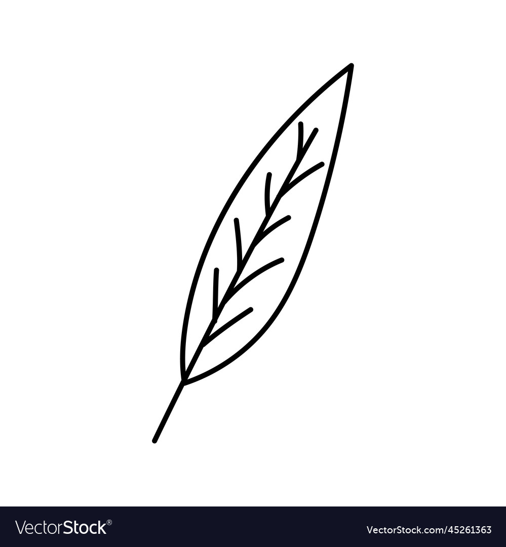 Leaf decorative Royalty Free Vector Image - VectorStock