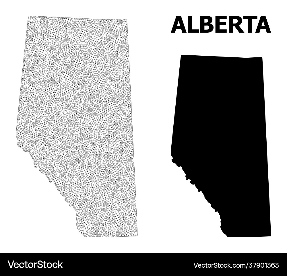 Polygonal network mesh high resolution map Vector Image