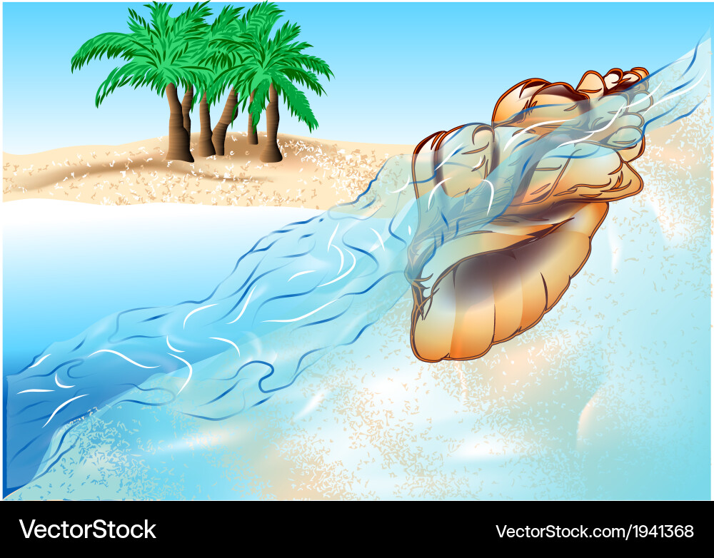 Shell and beach Royalty Free Vector Image - VectorStock