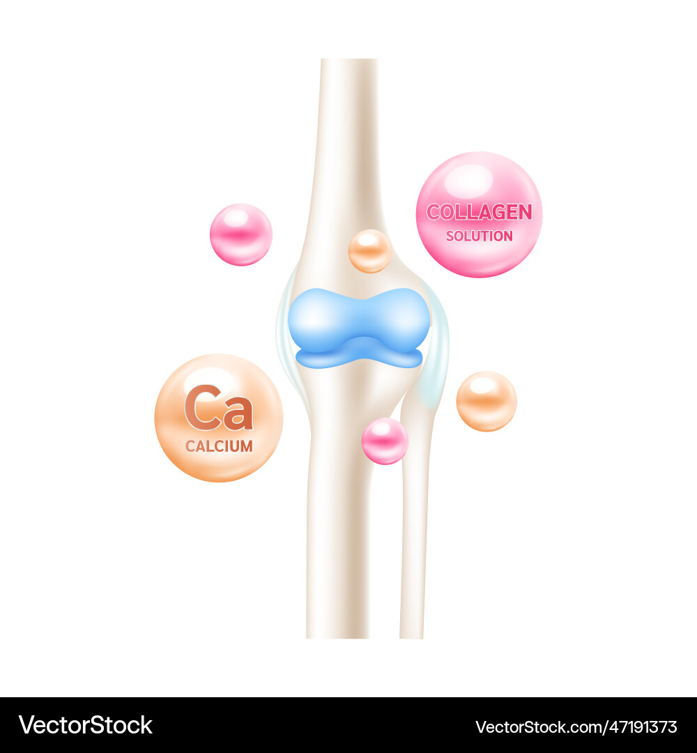 Calcium collagen vitamin therapy Royalty Free Vector Image