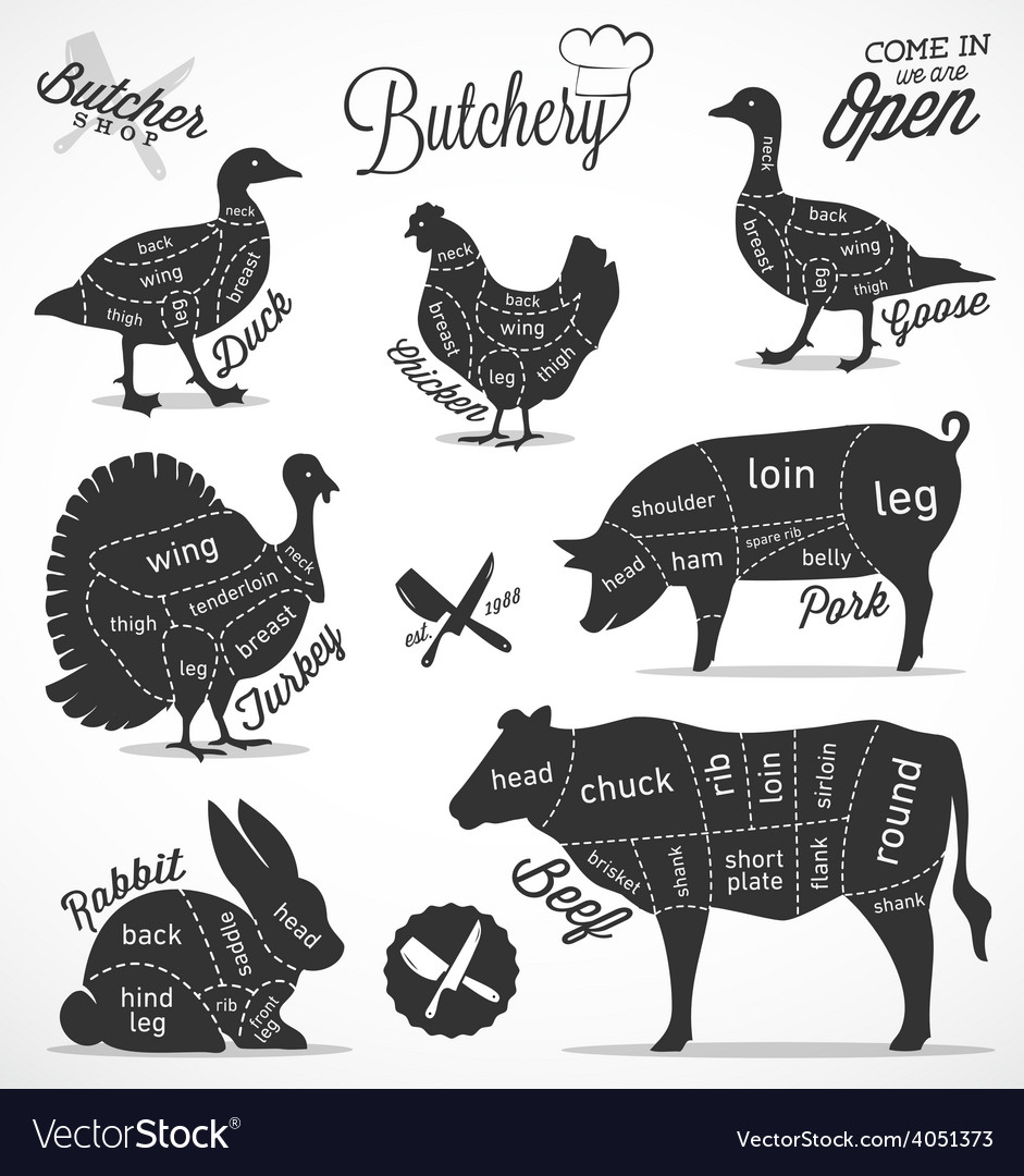 Diagram Guide for Cutting Meat in Vintage Style Vector Image