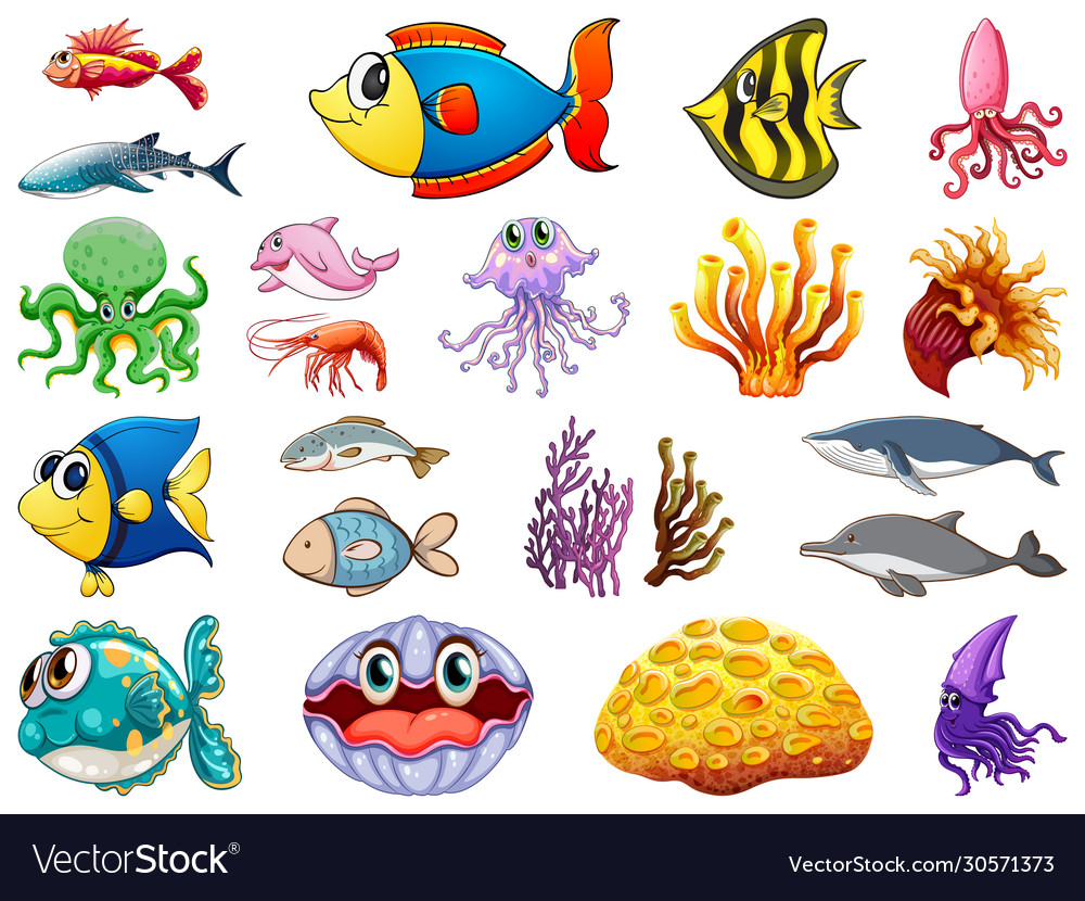 Large set sea creatures on white background Vector Image