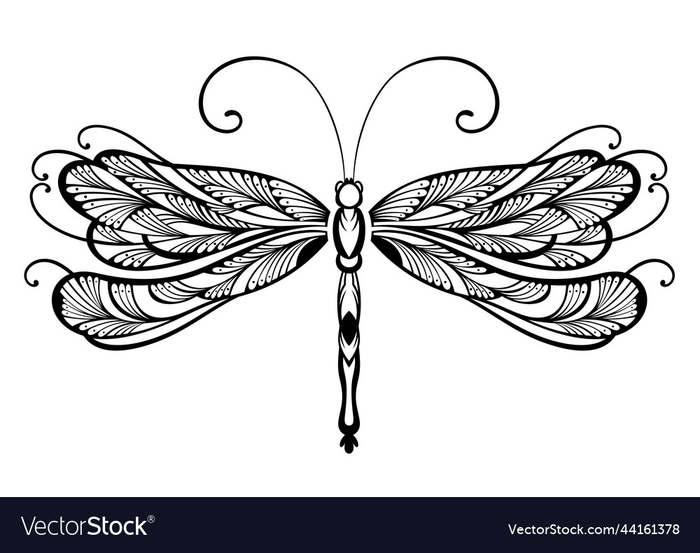 Dragonfly Royalty Free Vector Image - VectorStock