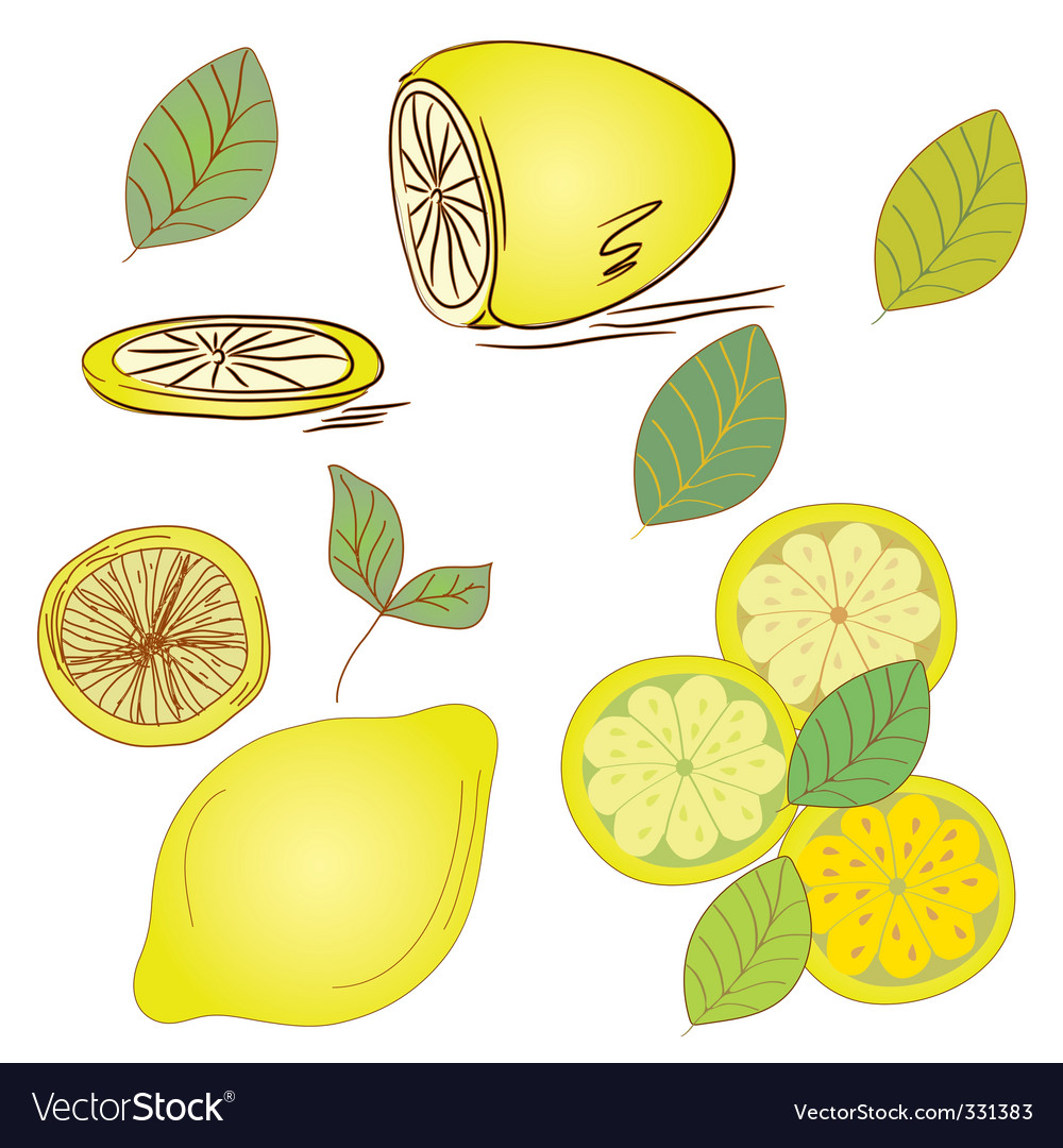 Lemon set Royalty Free Vector Image - VectorStock