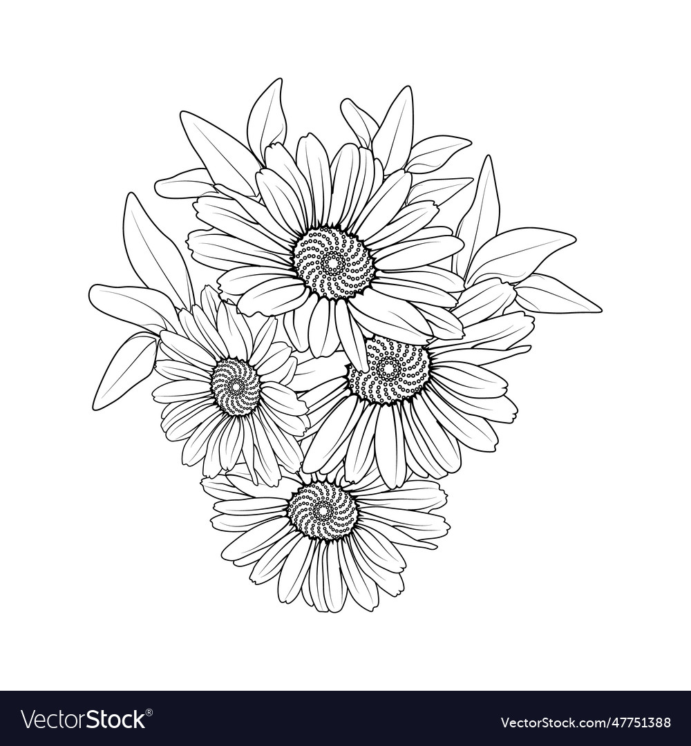 Small Daisy Tattoo Gerbera Daisy Drawings Vector Image