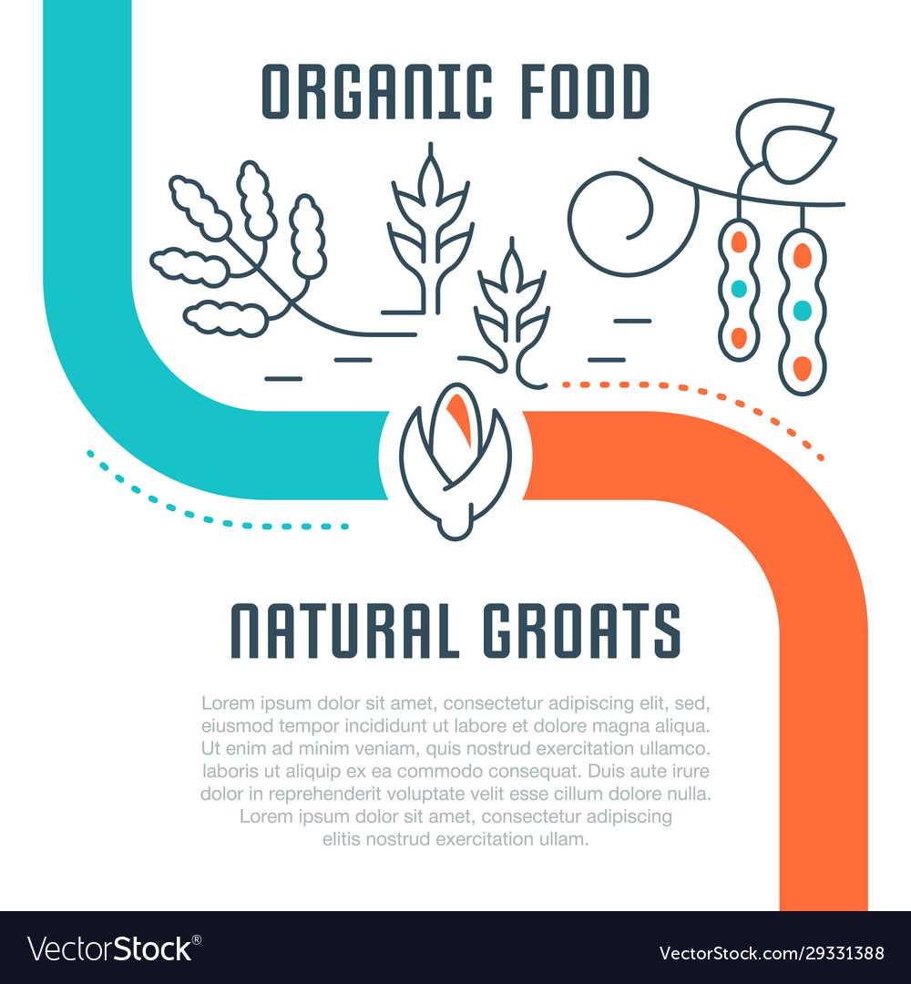 Website Banner And Landing Page Organic Food Vector Image