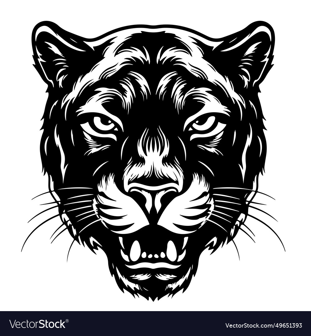 Black panther portrait hand drawn sketch Vector Image