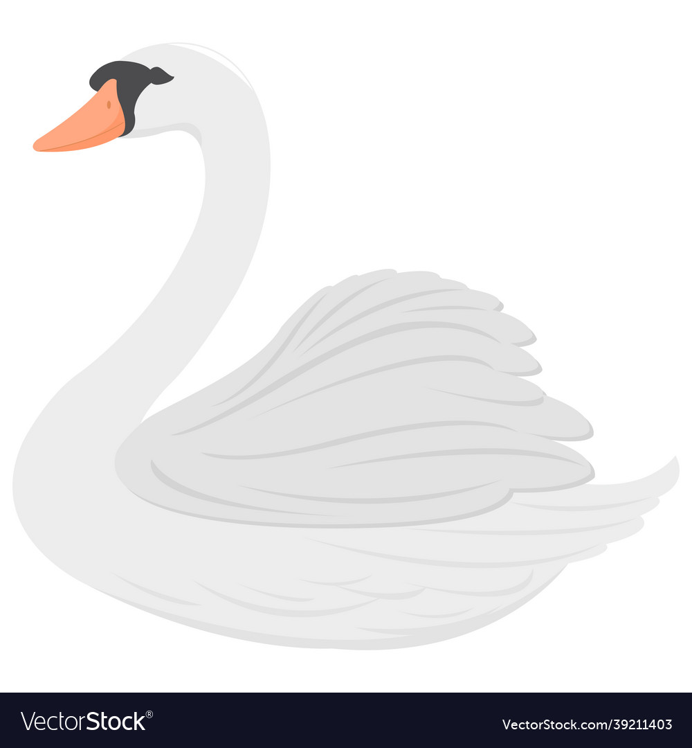 Beautiful white swan Royalty Free Vector Image