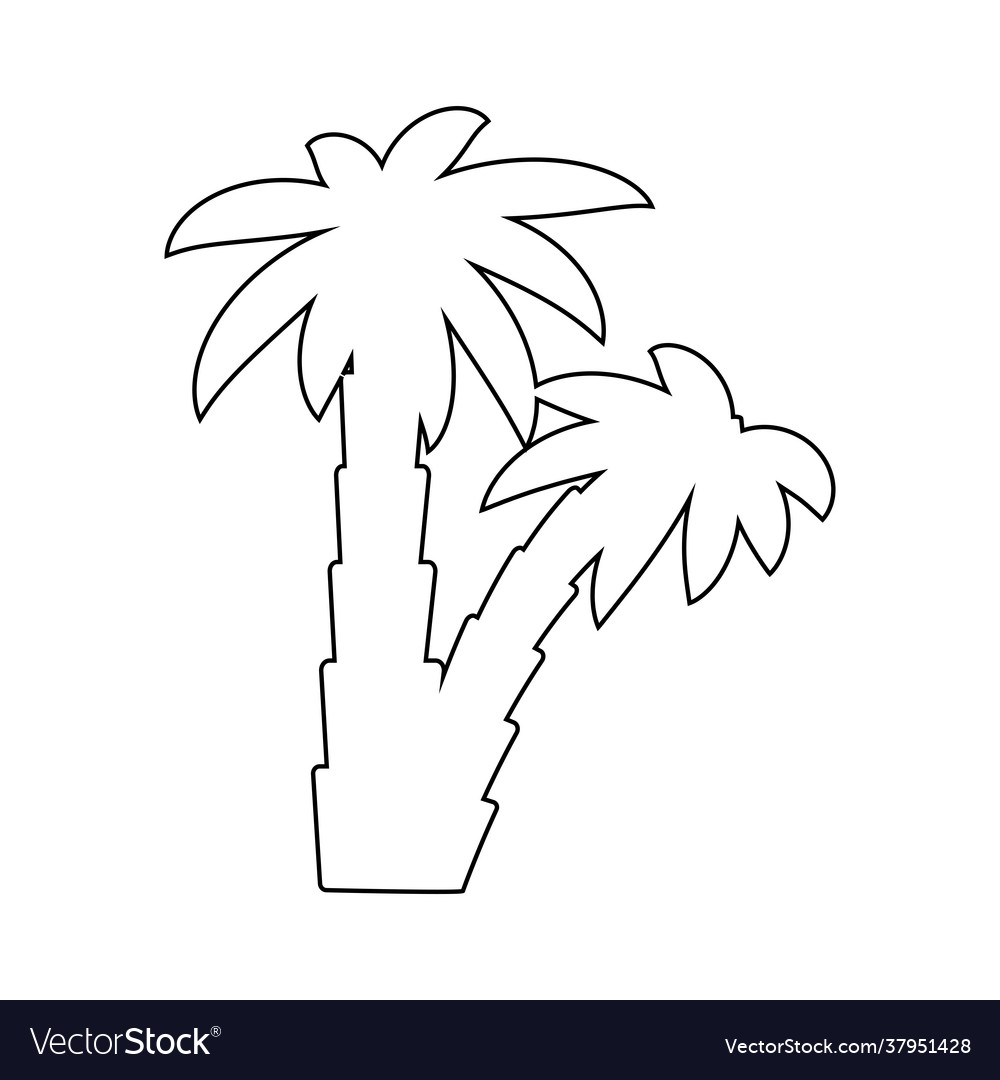 Palm tropical tree set icons black silhouette Vector Image