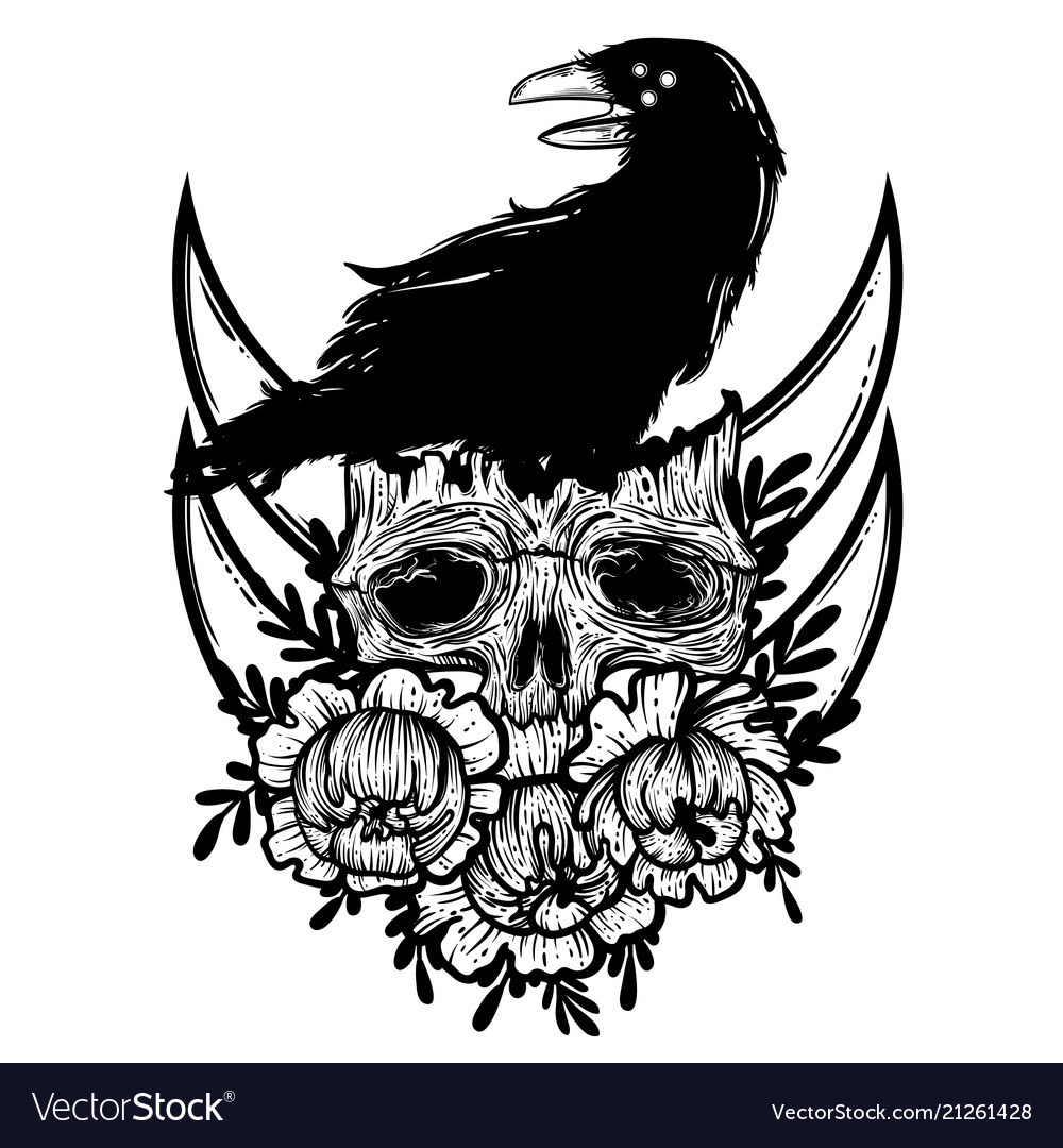 With a human skull raven Royalty Free Vector Image