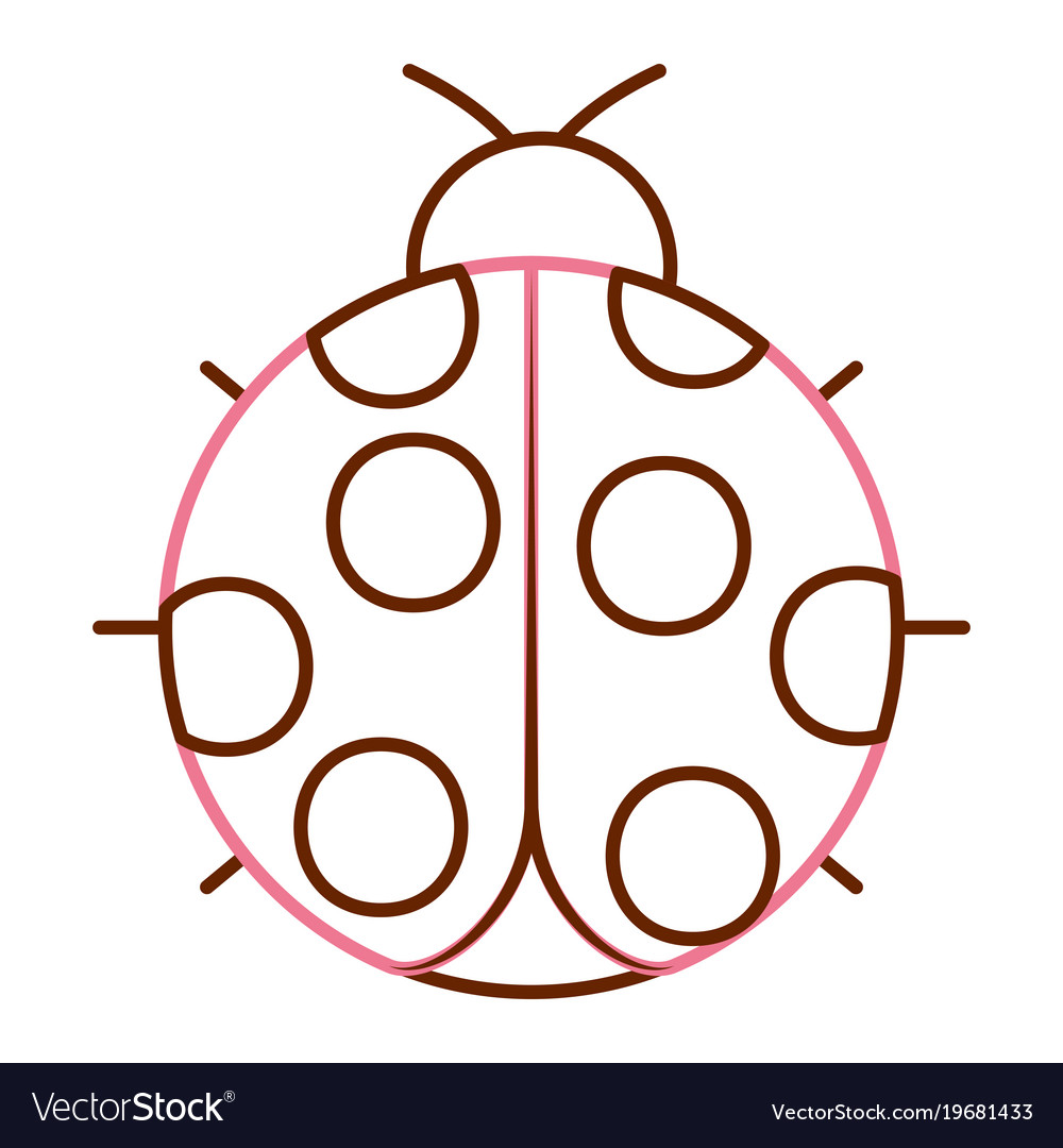 Ladybug insect small icon animal Royalty Free Vector Image