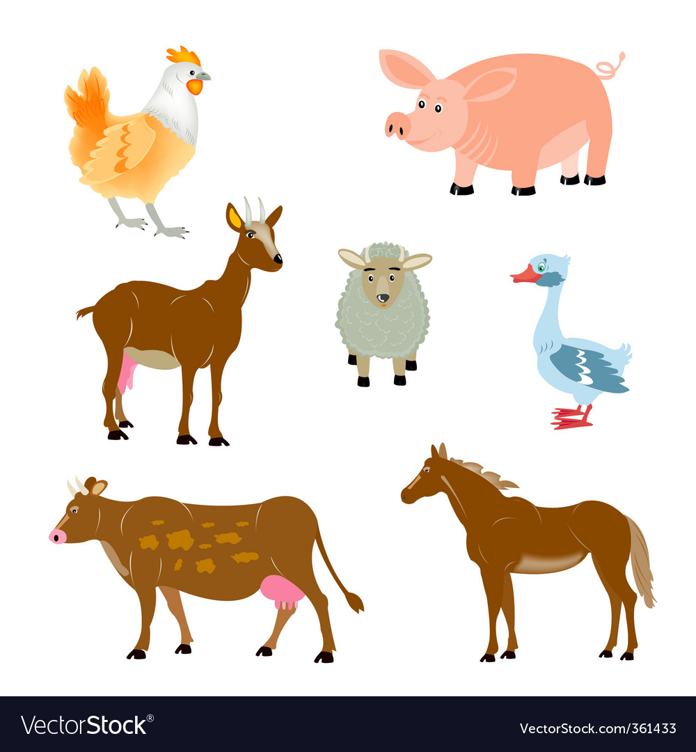 Pets Animals Royalty Free Vector Image - Vectorstock