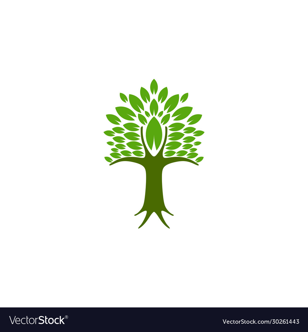 Tree logo ideas inspiration logo design template Vector Image