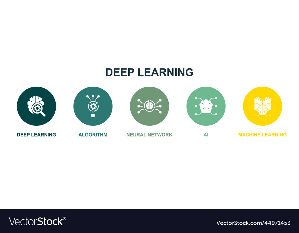 Deep learning algorithm neural network ai Vector Image