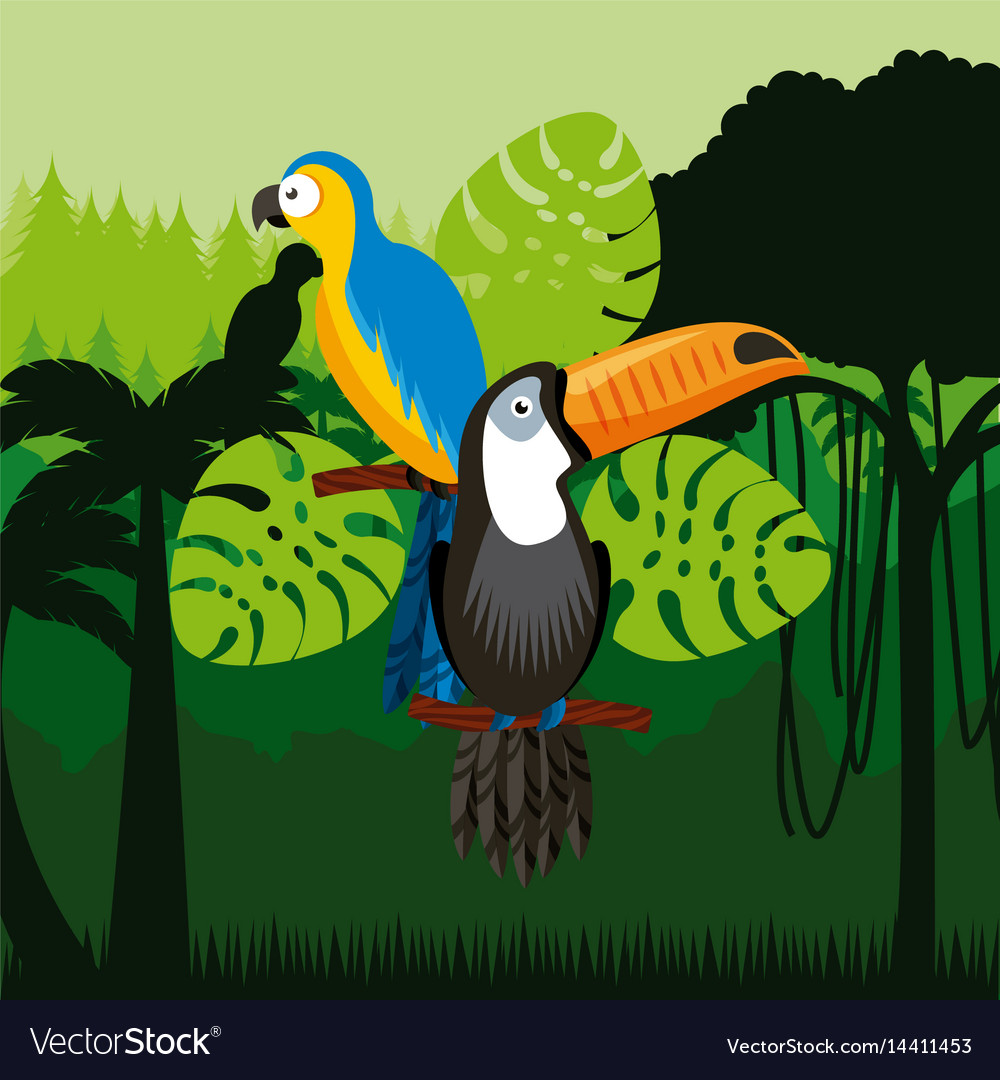 Toucan and macaw birds Royalty Free Vector Image