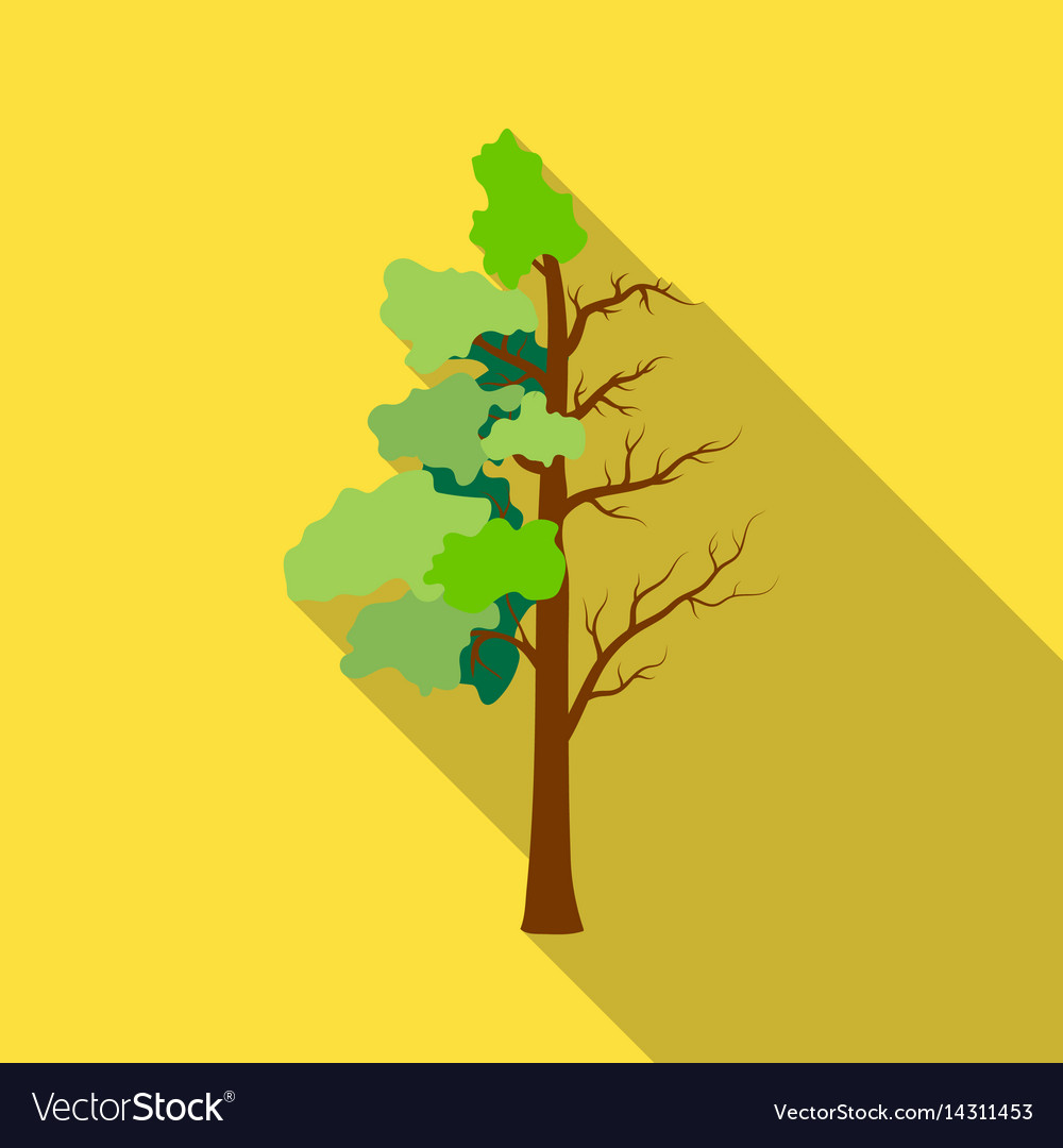 Tree half full of green leaf and dry icon Vector Image