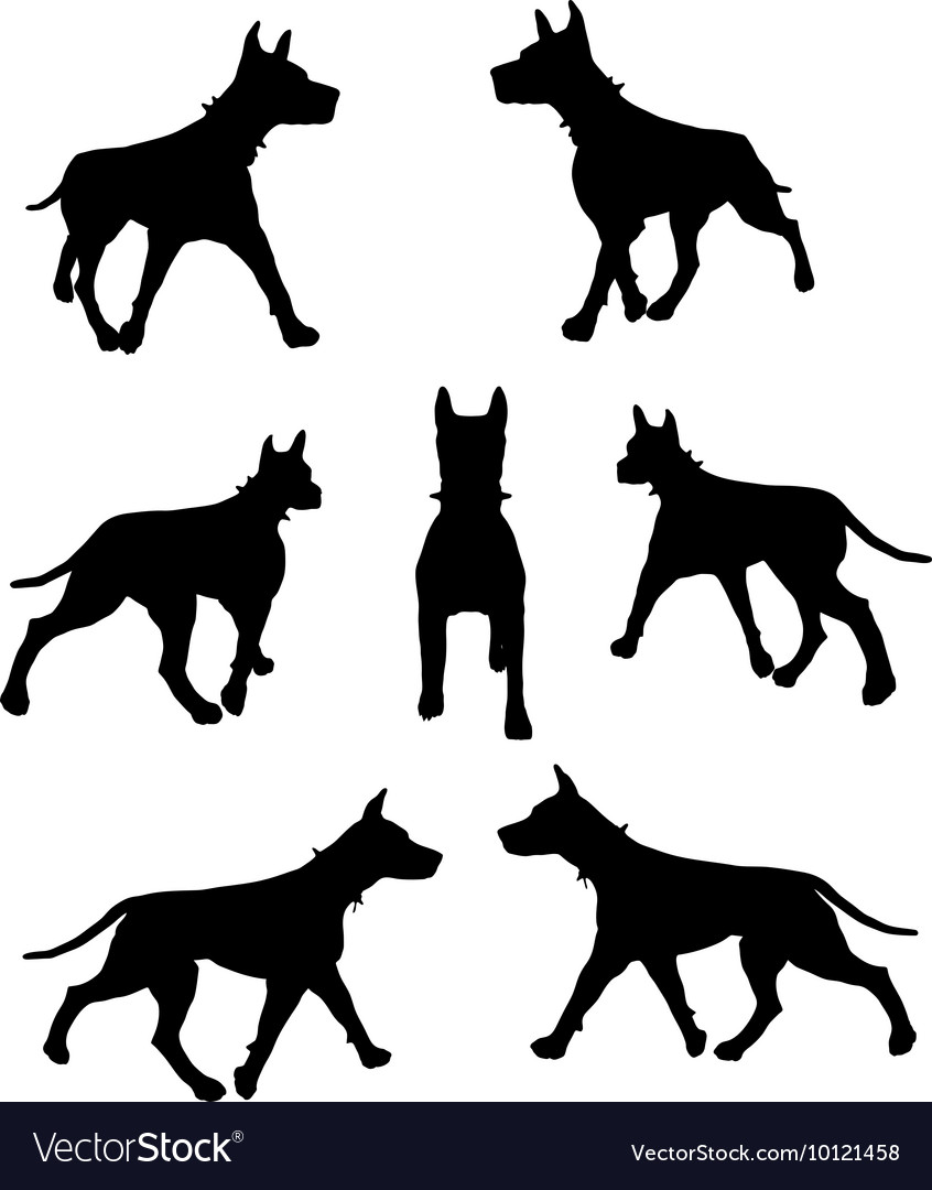 Dog silhouette Royalty Free Vector Image - VectorStock