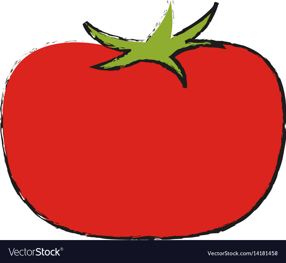 Fruit icon image Royalty Free Vector Image - VectorStock