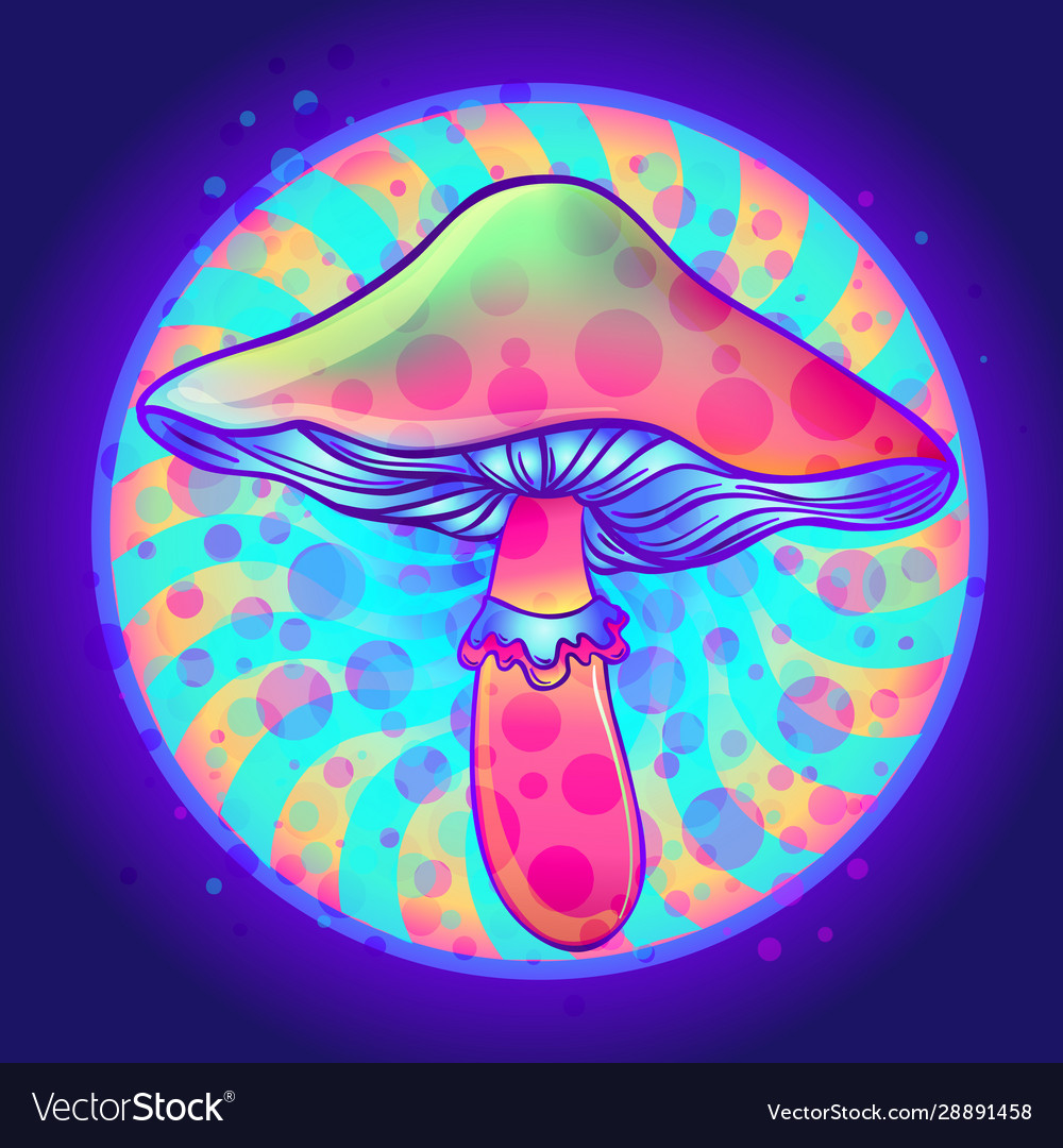 Magic mushrooms psychedelic hallucination Vector Image