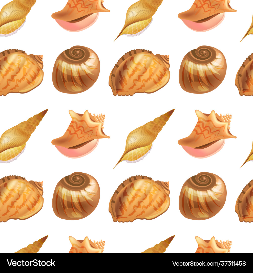 Seamless pattern with marine shells endless Vector Image