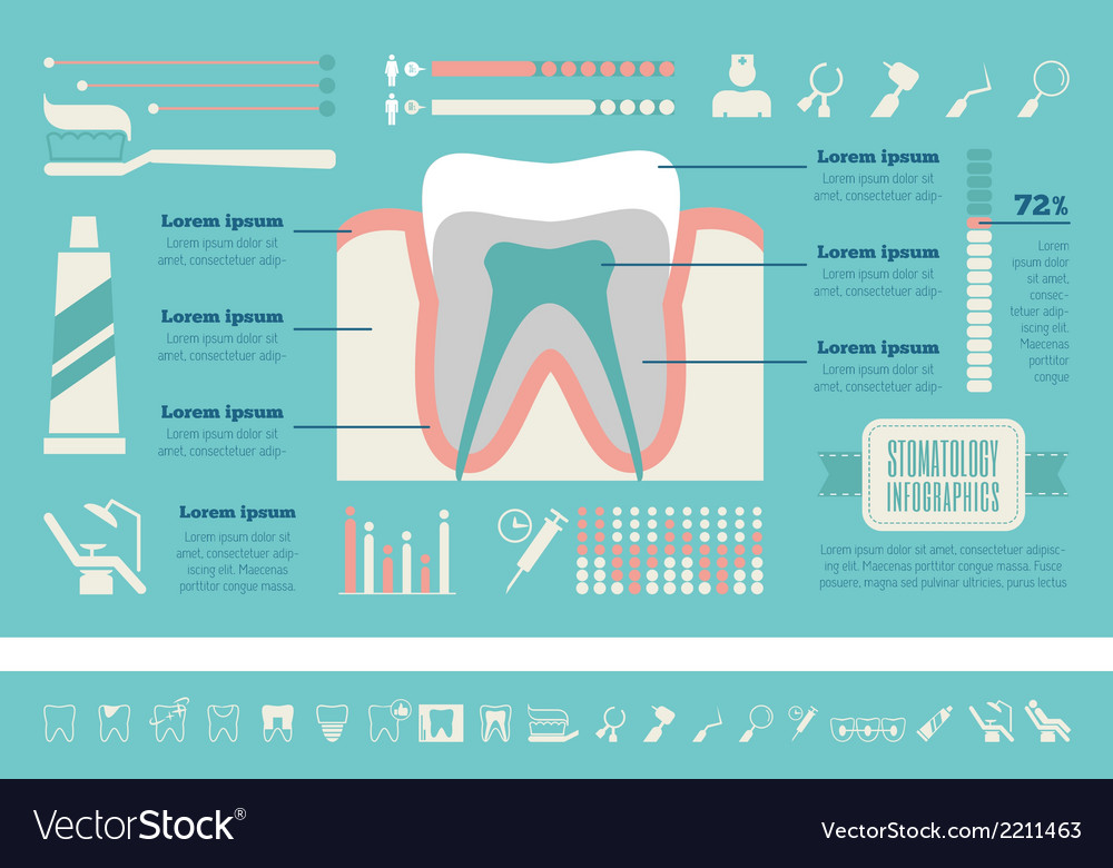 Dental infographic template Royalty Free Vector Image