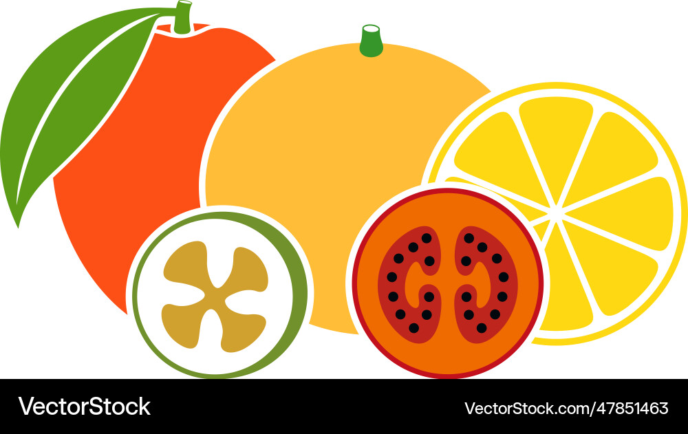 Fruit Royalty Free Vector Image - VectorStock