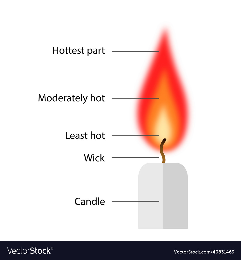 structure-of-the-candle-flame-infographic-vector-image