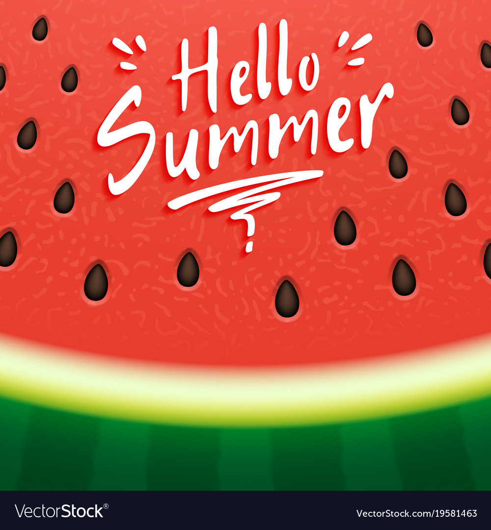 Watermelon with text hello summer Royalty Free Vector Image