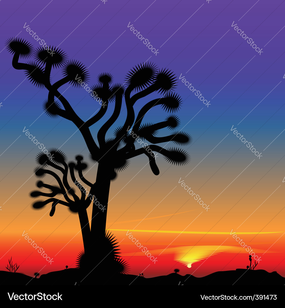 Sunset Royalty Free Vector Image - VectorStock