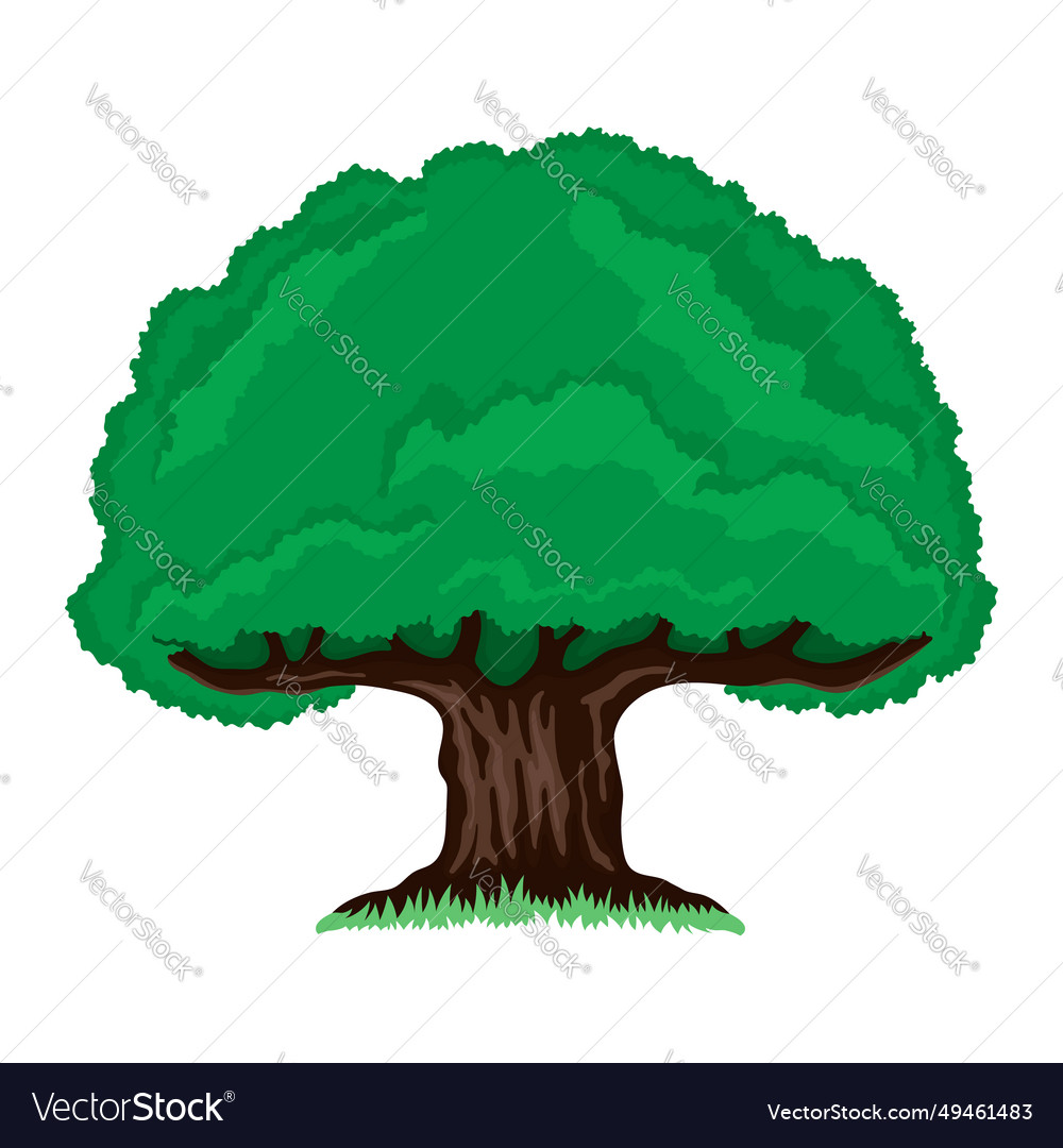 Big tree icon Royalty Free Vector Image - VectorStock