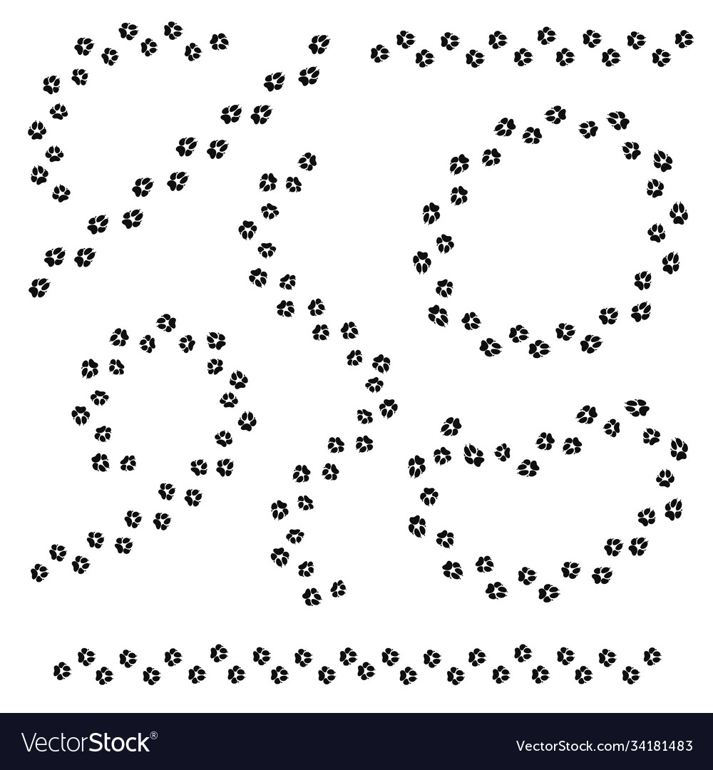 Set Animal Track Shapes Dog Or Cat Paw Print Paw Vector Image