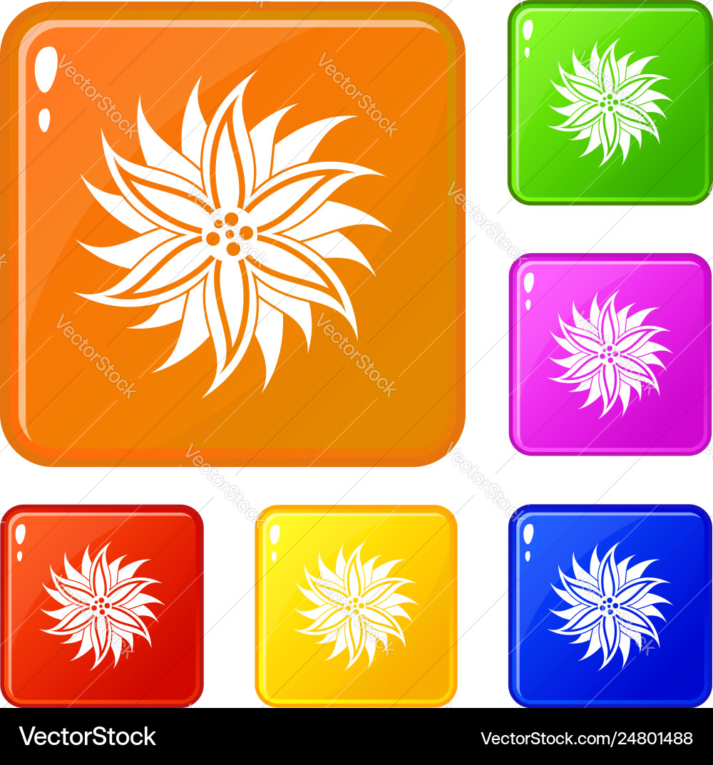 Flower icons set color Royalty Free Vector Image