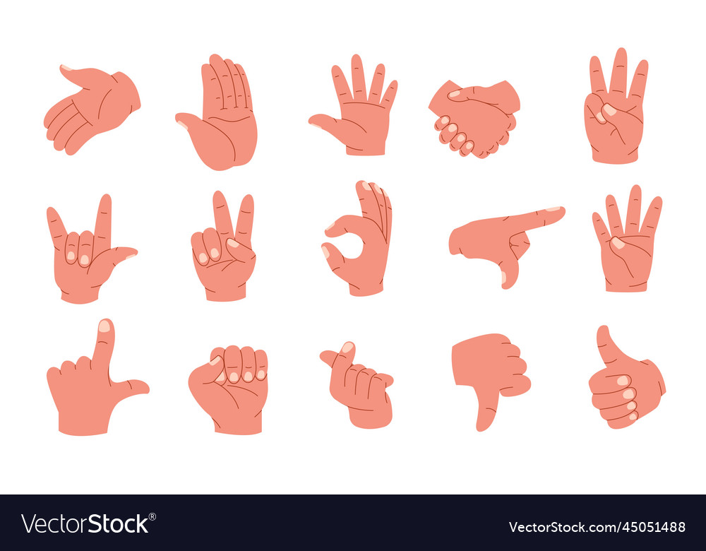 Hand gestures human palms and wrist showing Vector Image